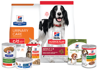 Um conjunto de produtos Hill's, incluindo alimentos em formato seco, húmido e biscoitos. 